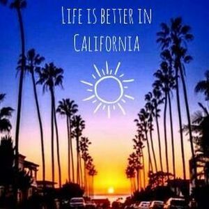 Meet your Posher, Connie